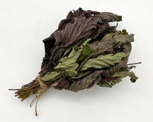 Mazzetto di Nocciolo