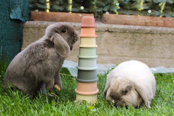 Stacking Cups Toy