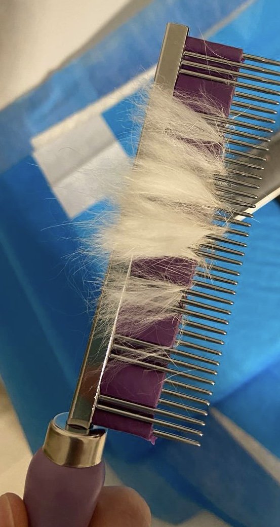 Peigne HairBuster photo review