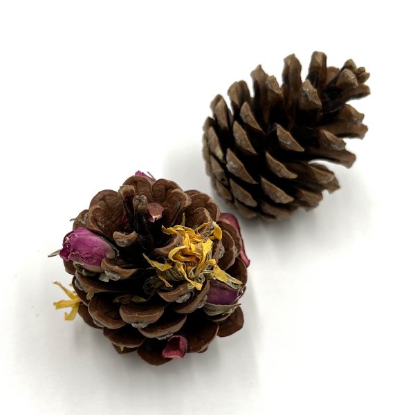 Pine Cones