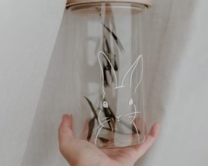 Hasi Glas
