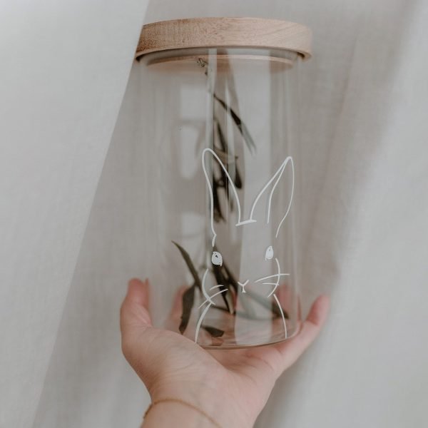 Hasi Glas