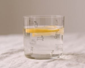 Verre Lapins