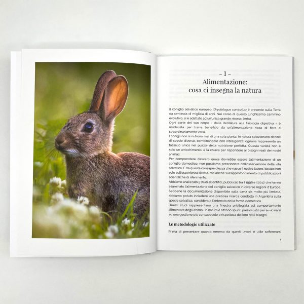Erbe e foraging - Lieve imperfezione - immagine 2