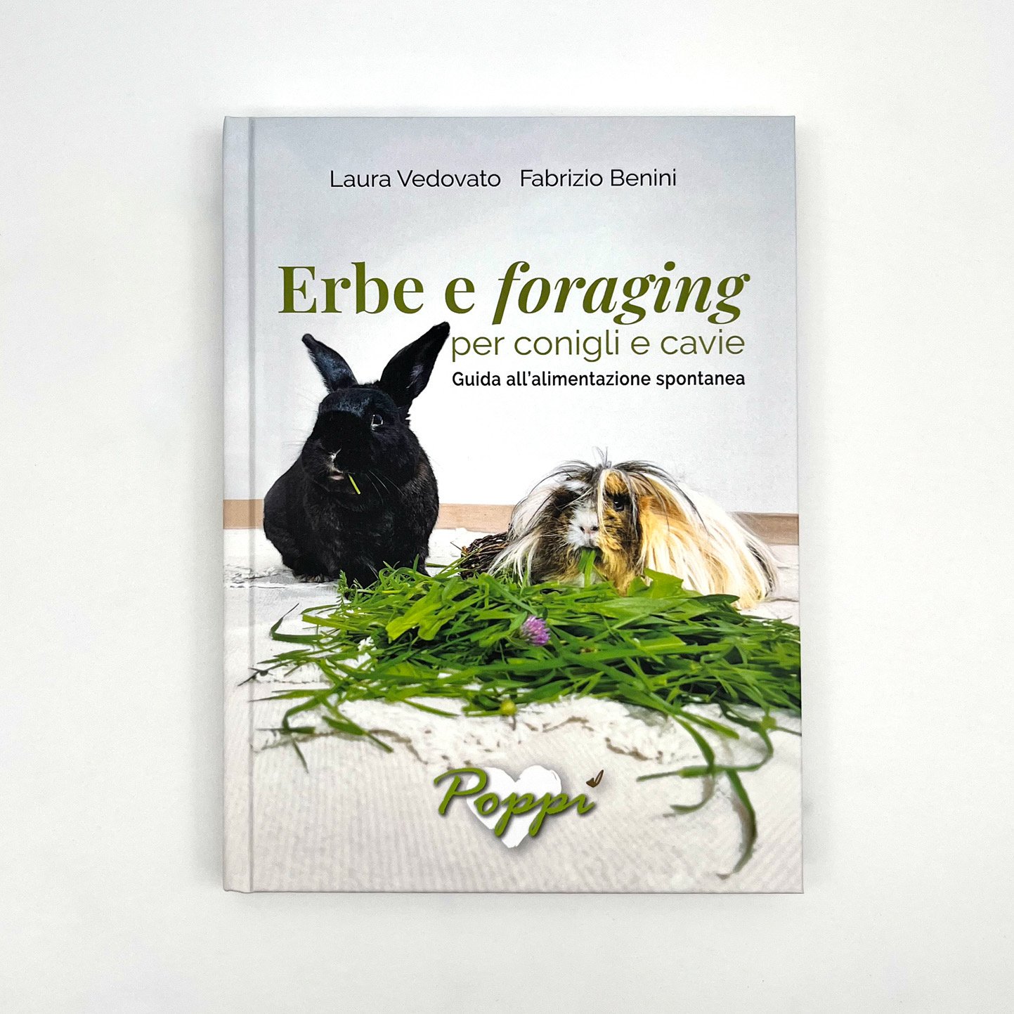 Cover of the book Herbs and Foraging for Rabbits and Guinea Pigs