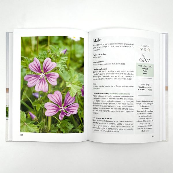 Erbe e foraging - Lieve imperfezione - immagine 3