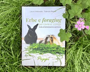 Erbe e foraging - Lieve imperfezione