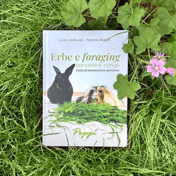 Erbe e foraging - Lieve imperfezione