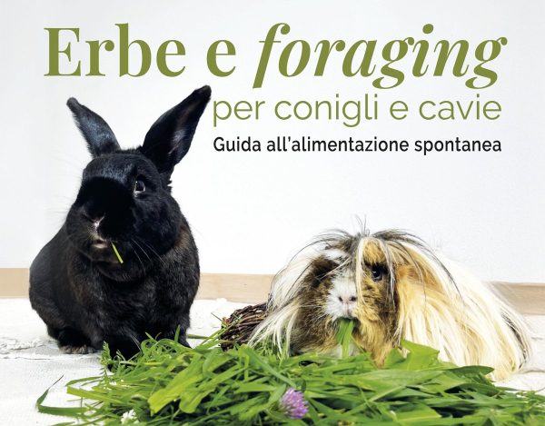 Copertina_ErbeForaging